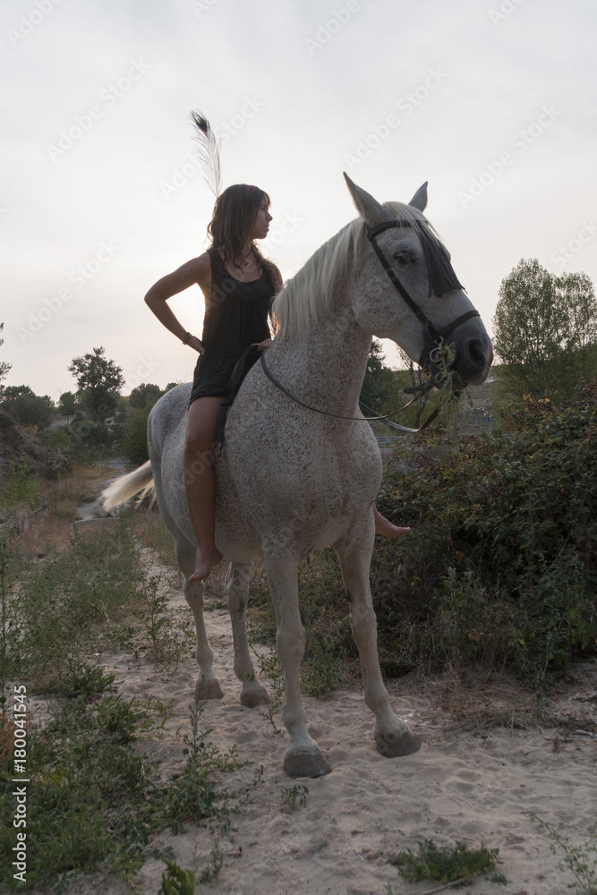 Fototapeta premium young woman on horseback