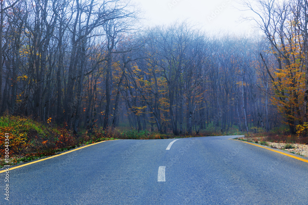 Fototapeta premium Road in the autumn forest