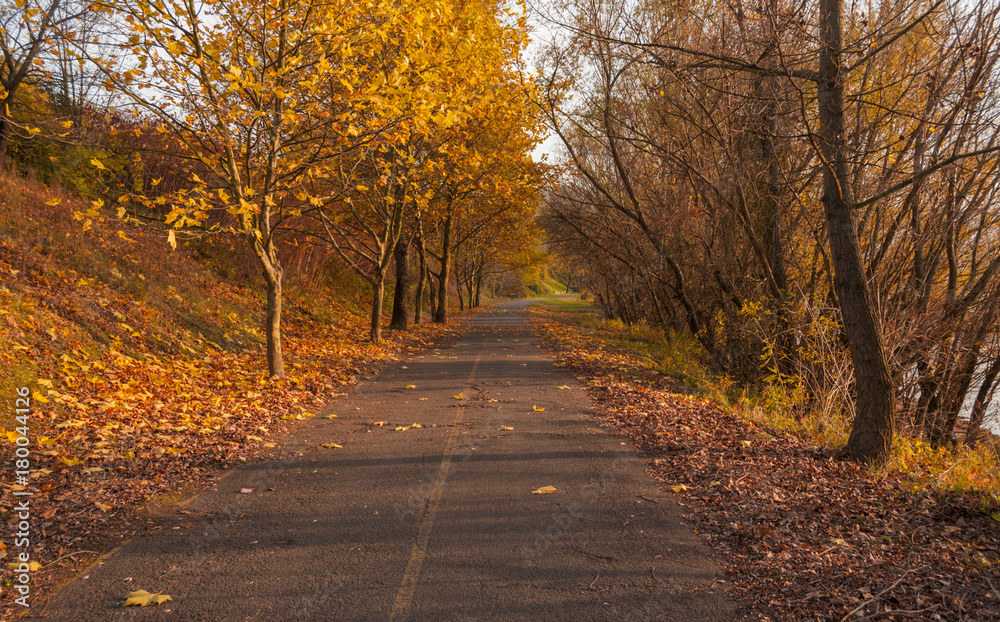 fall colors autumn riverside cycling road landscape in Hungary