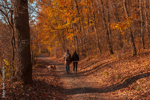 Fototapeta Naklejka Na Ścianę i Meble -  couple hiking in forest autumn leaf