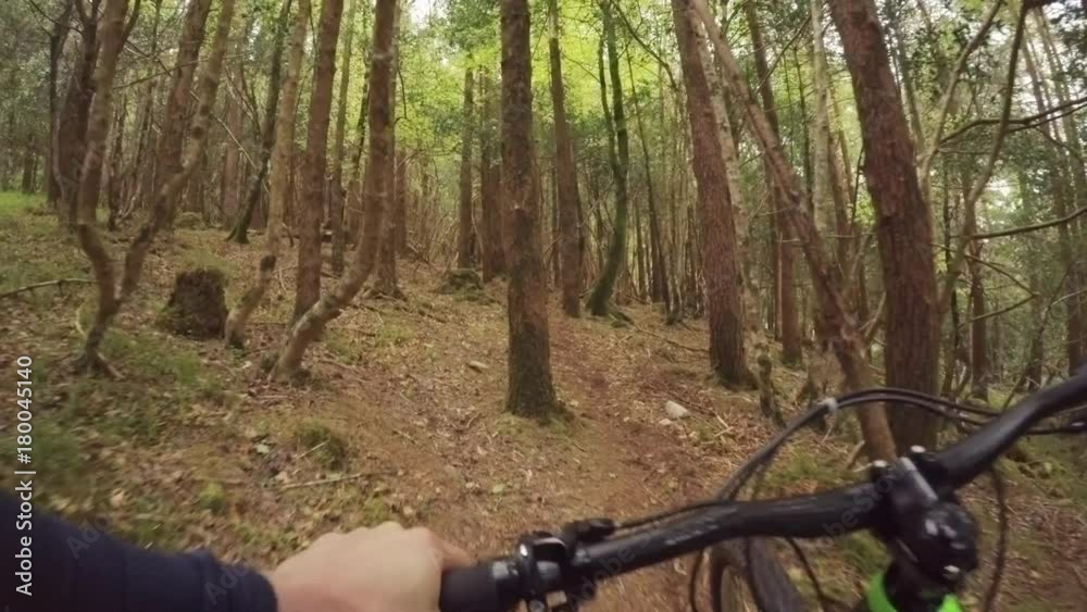 POV Shot Of Cyclist Walking With Bicycle In Forest POV Shot Of Cyclist Walking With Bicycle In Forest