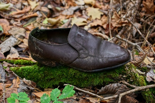 старый коричневый туфель стоит на зелёном мху в лесу