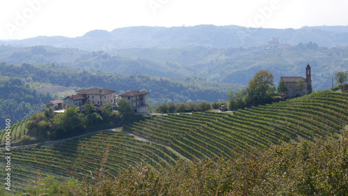 Langhe vigneti e coltivazioni di vino Barolo  Barbera  Spumante