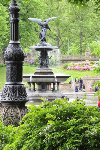 Bethesda Fountain in Central park
