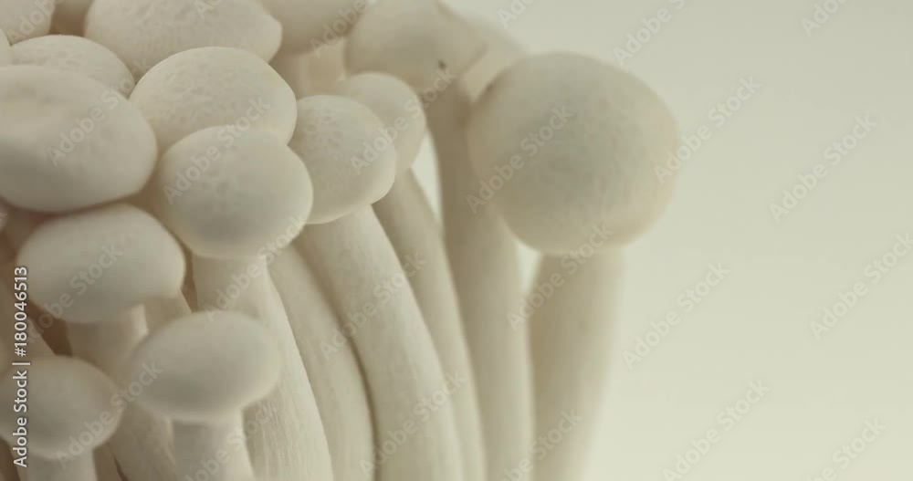 White beech mushrooms or Shimeji mushroom