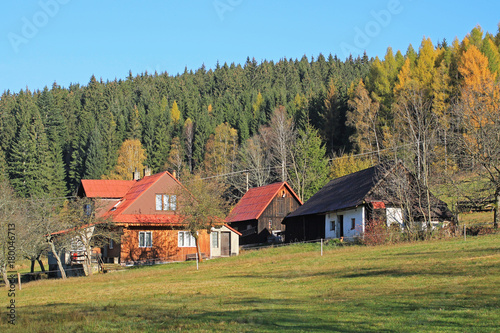 some nice wooden cottages in Beskydy mountains in autumn and forest behind them