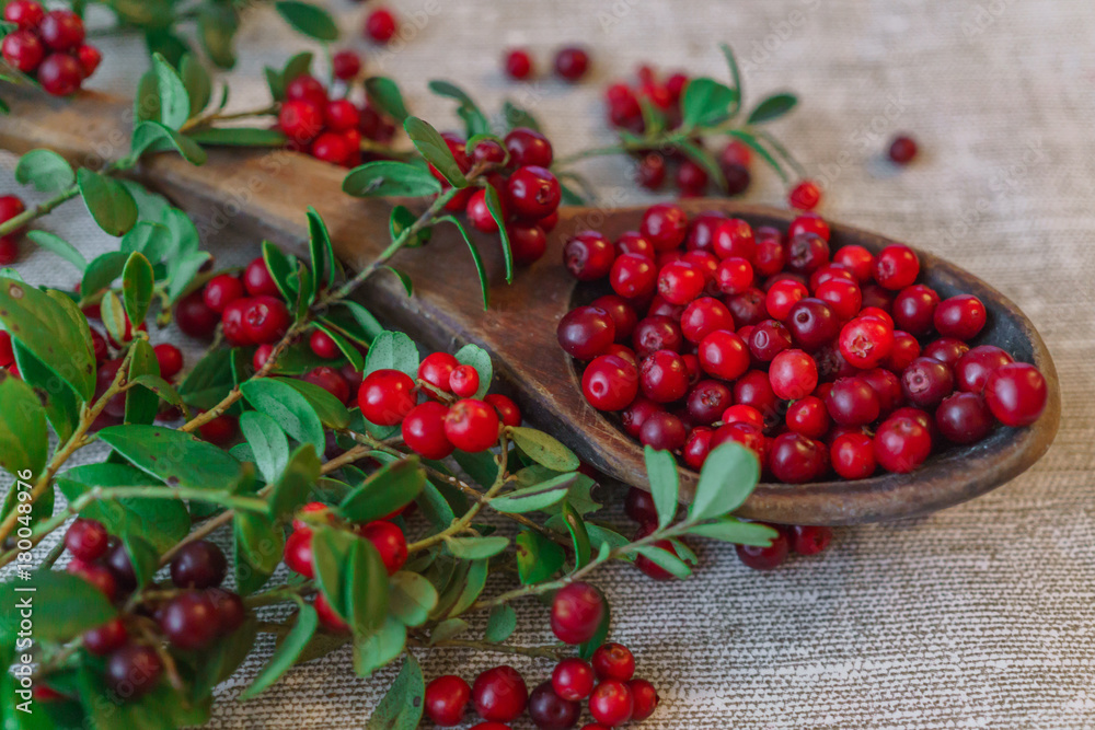 Berries of red lingonberry in a wooden spoon, along with twigs, on a table. Berries of red lingonberry in a wooden spoon, along with twigs, on a table.