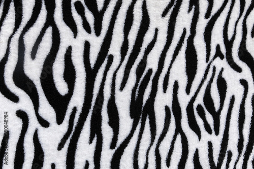 Zebra print pattern