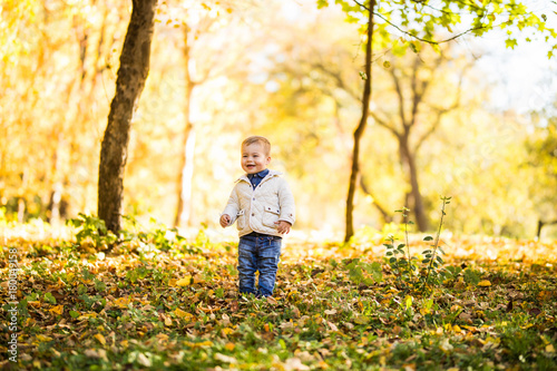 Smile Cute little boy standing near the tree in autumn forest. Boy playing in autumn park.