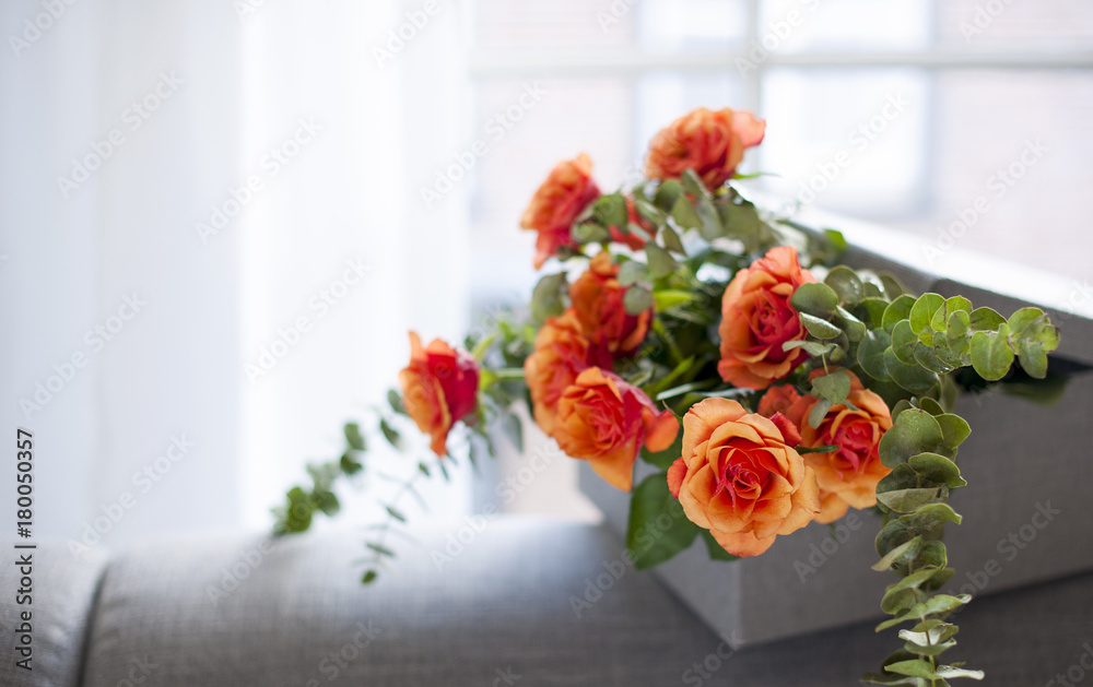box with roses on a gray sofa near the window in the living room box with roses on a gray sofa near the window in the living room