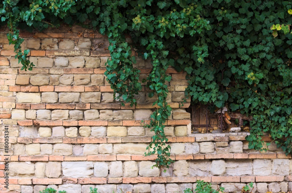 Secret window of an old ruined building (Pesaro, Italy) Secret window of an old ruined building (Pesaro, Italy)