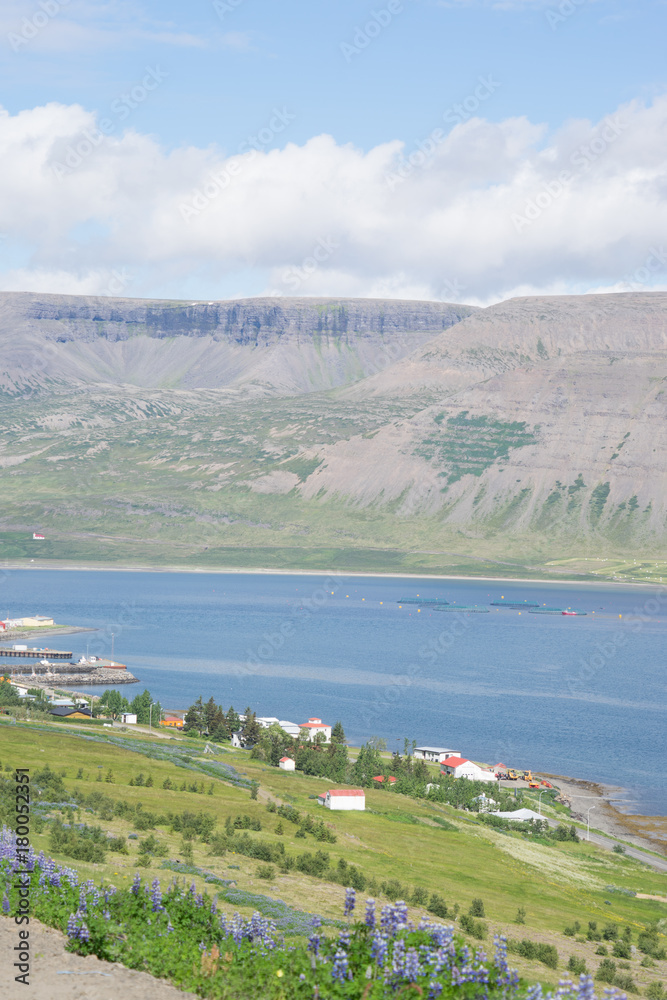 Küsten-Landschaft in den Westfjorden, Island
