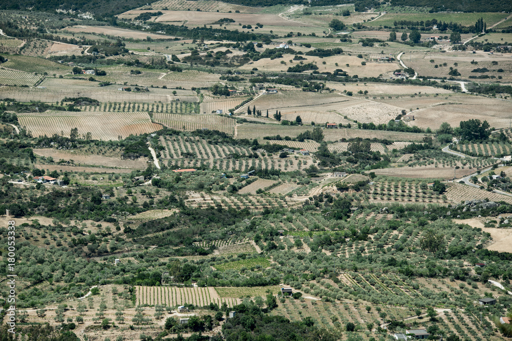 Felder und Plantagen bei Dorgali, Sardinien, Italien