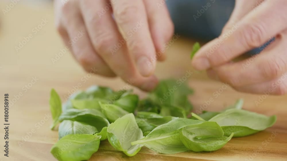 Closeup Of Man's Hands Cutting Basil Leaves Into Small Pieces Closeup Of Man's Hands Cutting Basil Leaves Into Small Pieces