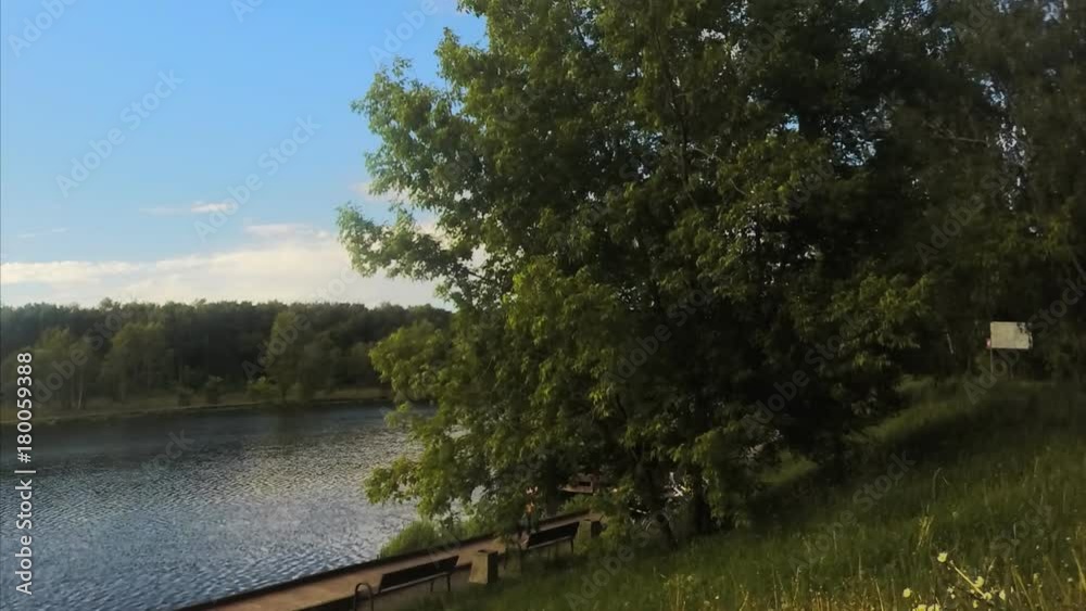 Summer Day At Lake In The Park Timelapse Summer Day At Lake In The Park Timelapse