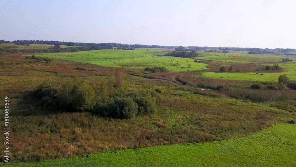 Green grass in the meadows with sheaves in the autumn. Aerial survey Green grass in the meadows with sheaves in the autumn. Aerial survey