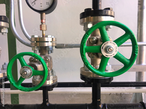 Gate valve in the gas industrial