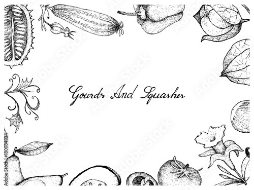 Hand Drawn of Gourd and Squash Fruits Frame © Iamnee