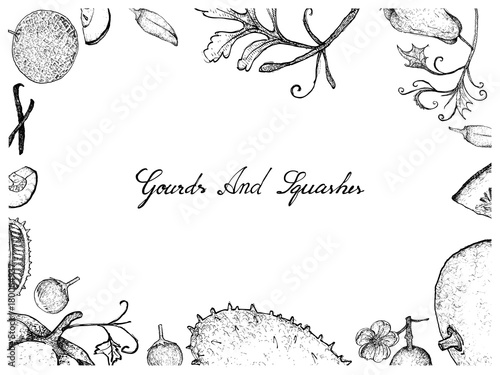 Hand Drawn of Gourd and Squash Fruits Frame