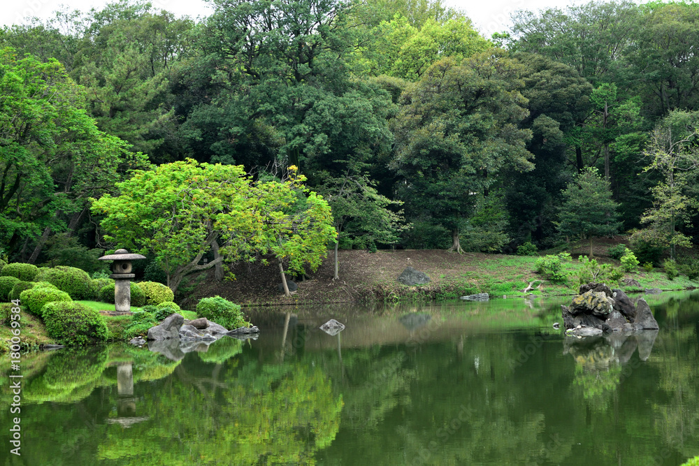 六義園 池と樹木