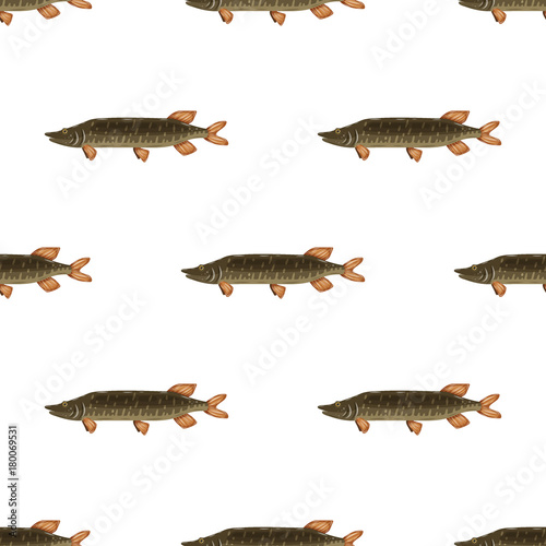 Seamless pattern freshwater flat pike fish isolated on white background. Marine fresh food logo, fishing sport photo