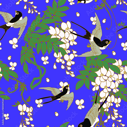 swallow