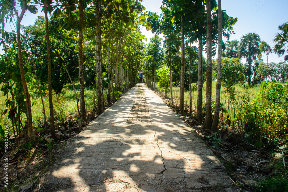 entrance path to the Monastery, in the countryside of Myanmar, Nov-2017 entrance path to the Monastery, in the countryside of Myanmar, Nov-2017