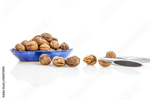 Isolated composition of healthy nuts, a nutcracker and a blue cup photo