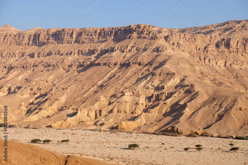 Negev desert wadi landscape from above, Israel.