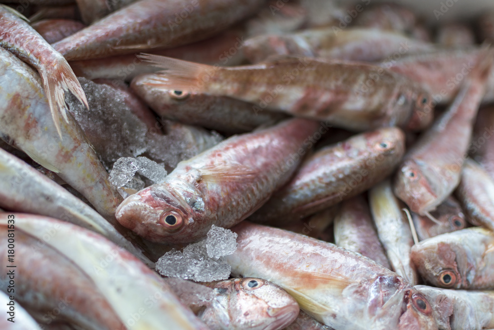 Fresh fish, shellfish, seafood in Cambrils Harbor Market, Catalonia, Spain.