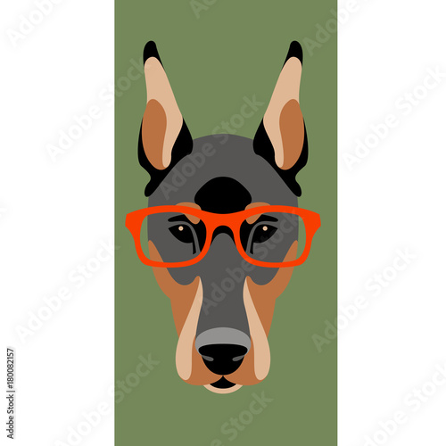 dog doberman face glasses vector illustration flat
