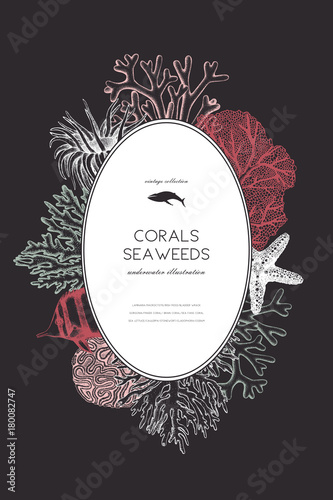 Vector frame with hand drawn sea corals, fish, stars sketch. Vintage background with underwater natural elements. Decorative sealife illustration isolated on white. Wedding design.