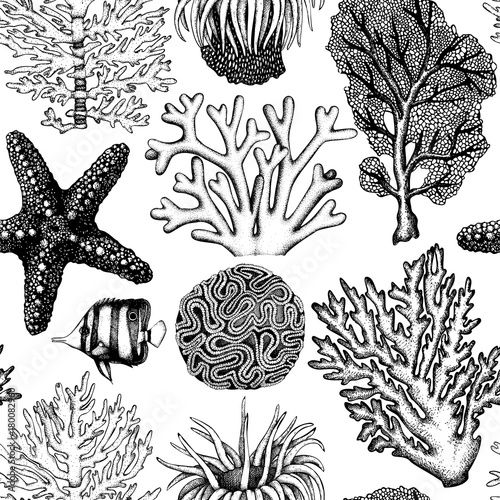 Seamless pattern with hand drawn sea fans corals - gorgonia sketch. Vector background with underwater natural elements. Vintage sealife illustration.