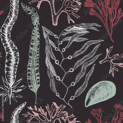 Seamless pattern with hand drawn seaweeds, corals , shells sketch. Vector background with underwater natural elements. Vintage sealife illustration.
