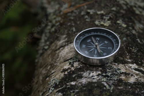 Compass on the tree