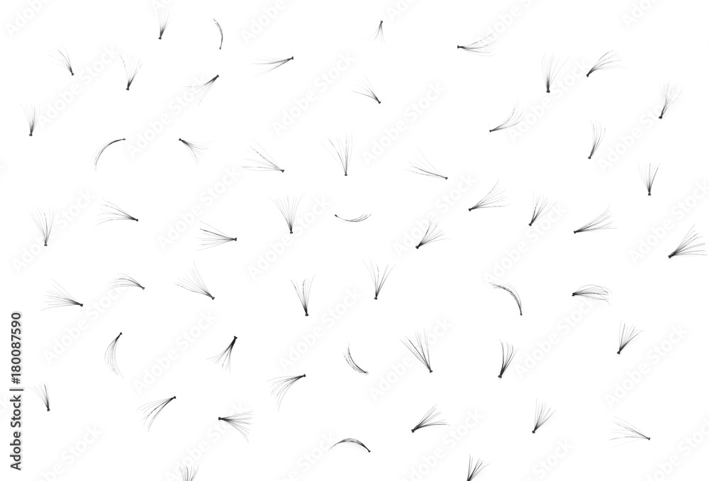 False eyelashes on white background False eyelashes on white background