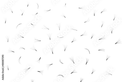 False eyelashes on white background