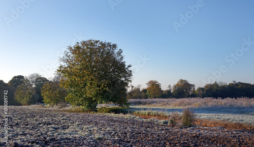 Bild auf Leinwand frosty landscape in Auvers sur Oise country