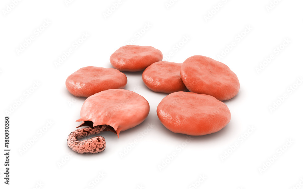 3d rendered malaria virus effect in blood cells on white background 3d rendered malaria virus effect in blood cells on white background