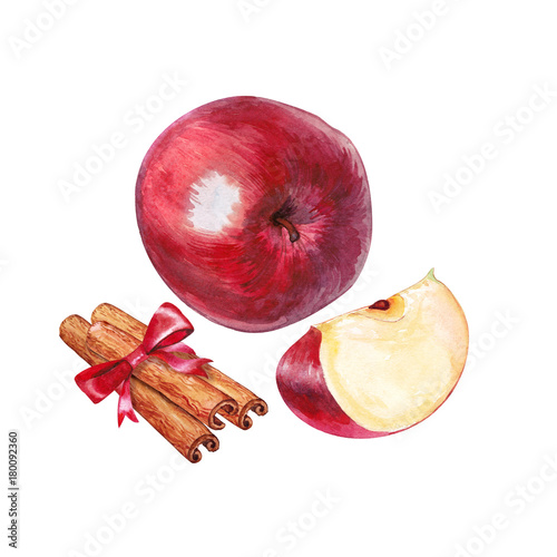 Apple and cinnamon. Watercolor.