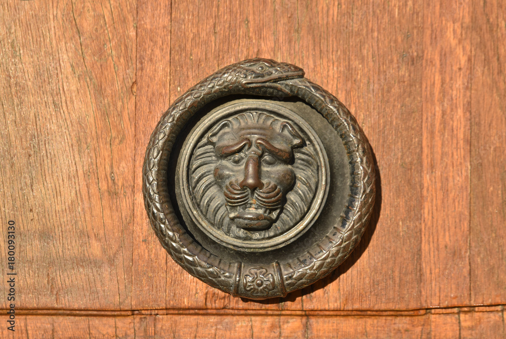 Poignée de porte métallique à tête de lion et serpent