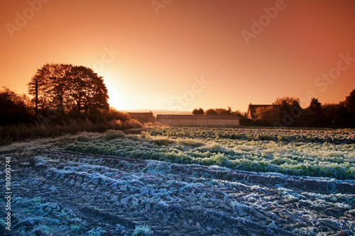 Fotografia Autumn morning and Frost on Auvers sur Oise field
