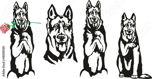     Dog, symbol of 1918