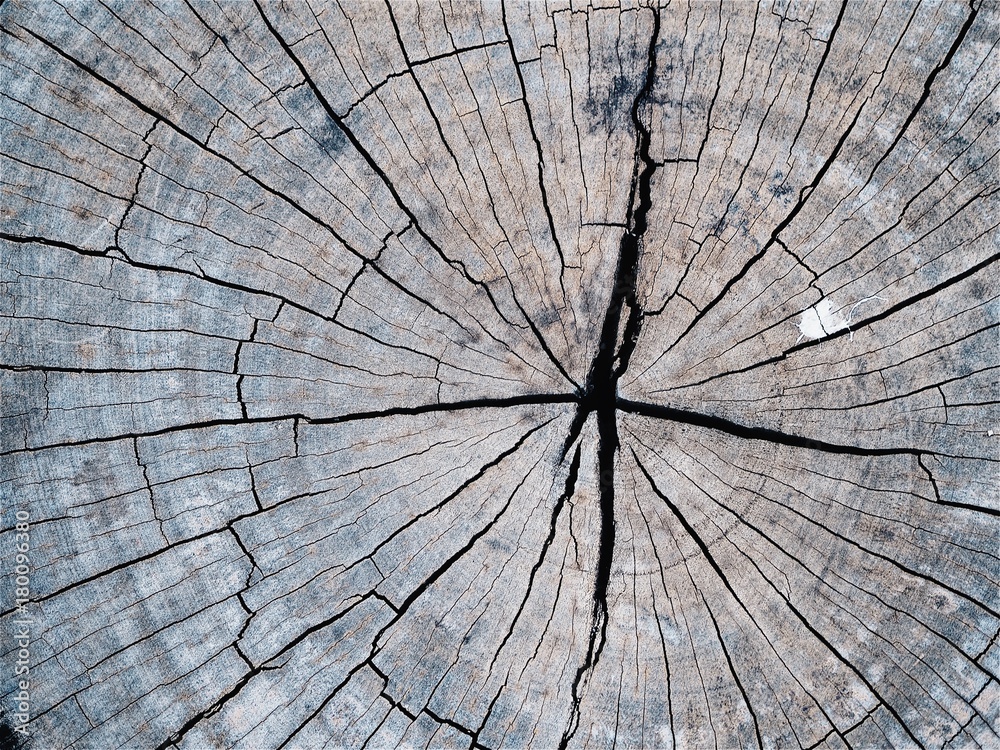 Fototapeta premium close up wooden texture background.