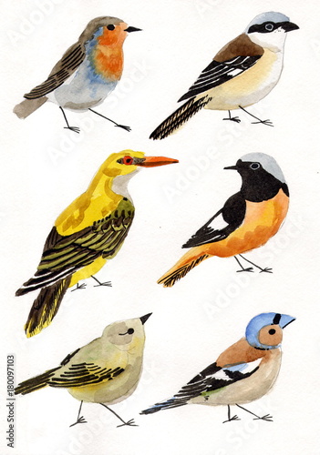 Рисунок акварелью "Перелетные птицы" © unona_a