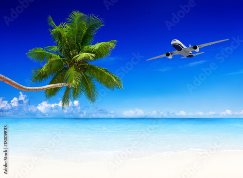 Fototapeta Naklejka Na Ścianę i Meble -  airplane and beach blue sky with palm tree.