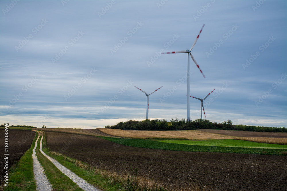 Fototapeta premium Wind farm in lower Austria in early in the morning, Austria, Europe