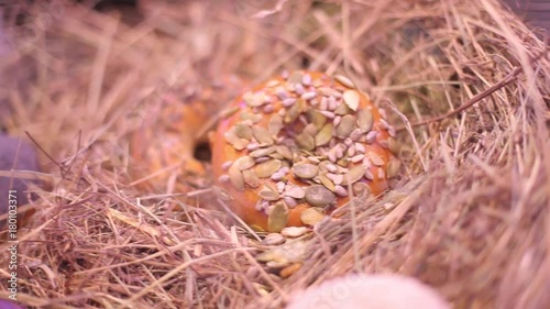 An appetizing donut photo