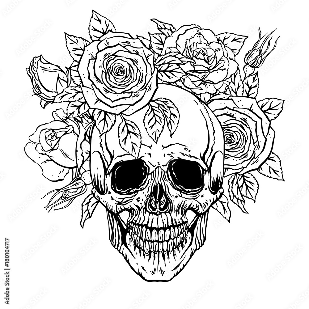 human skull with a roses wreath human skull with a roses wreath