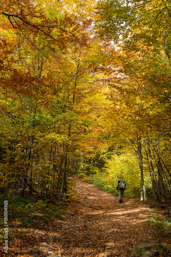 Hiker in beautiful autumn forest